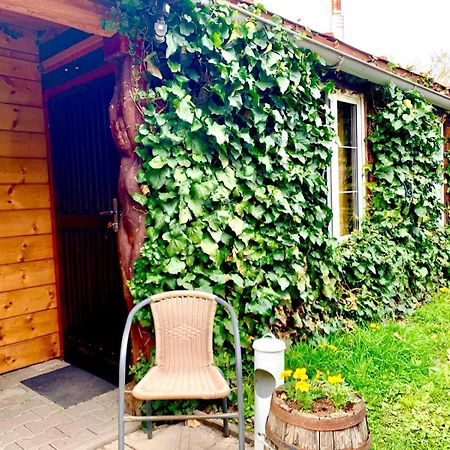 Dovolenkovy Dom Ela Pets Friendly Apartment Poprad Luaran gambar